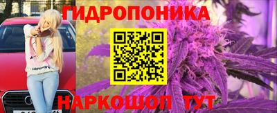 PSILOCYBIN Балахна
