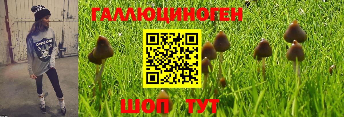 Псилоцибиновые грибы GOLDEN TEACHER Елабуга